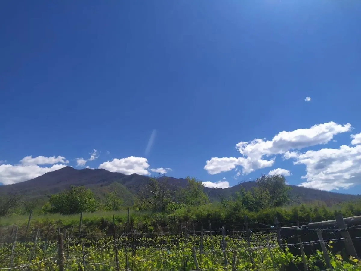 L'Orto Del Vesuvio Di Laura Guidone Bed and Breakfast San Sebastiano al Vesuvio